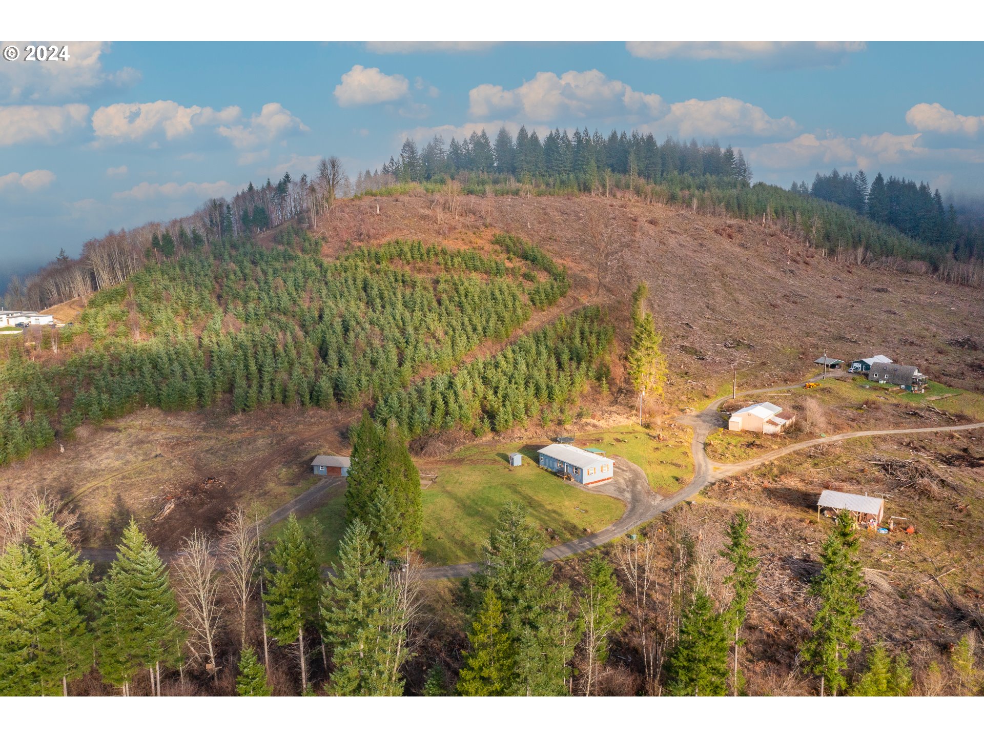 22233 Northeast Basket Flat Road Battle Ground, WA 98604 - Photo 5 of 46 a view of lake with mountain