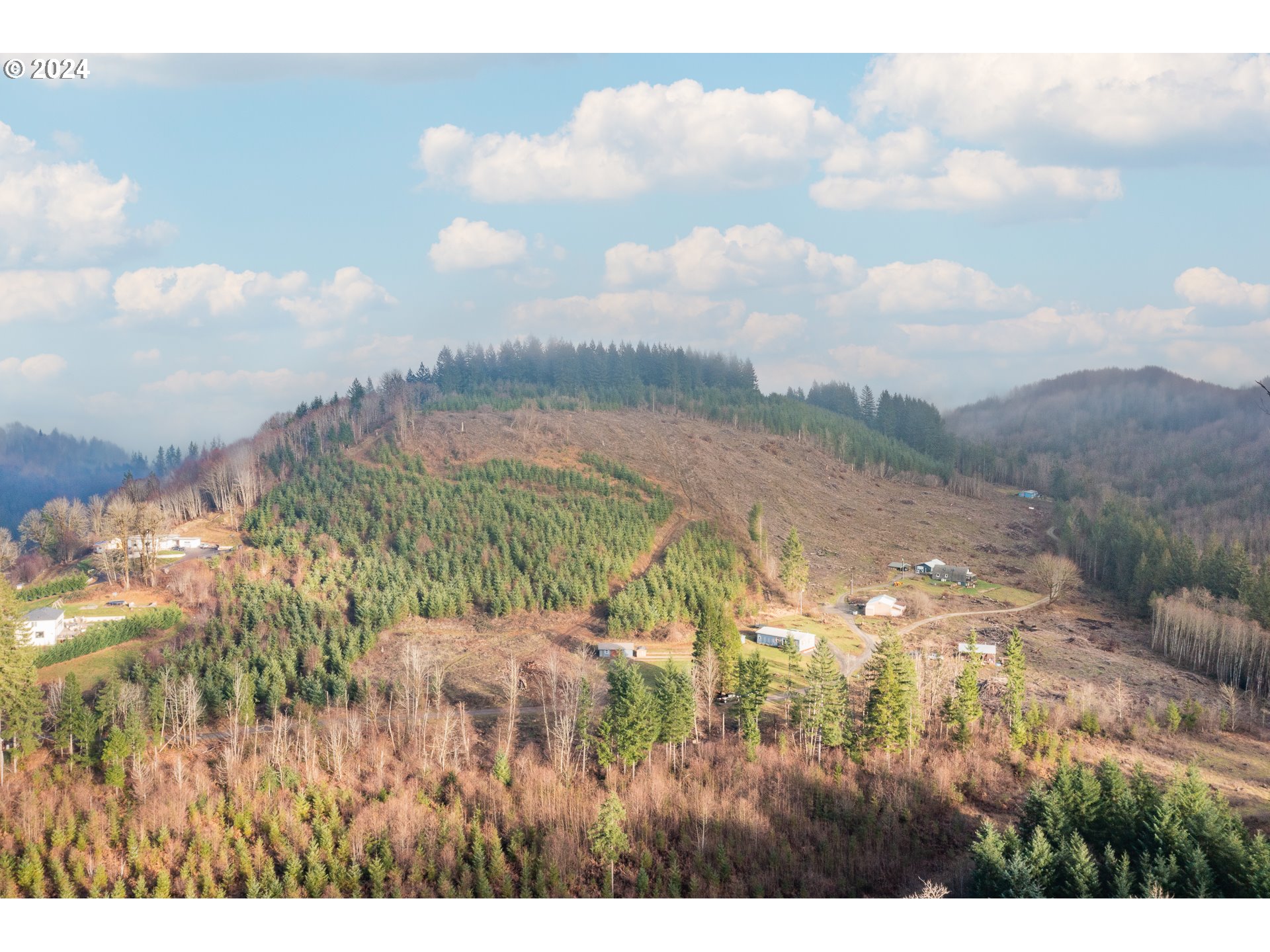 22233 Northeast Basket Flat Road Battle Ground, WA 98604 - Photo 6 of 46 a view of a city
