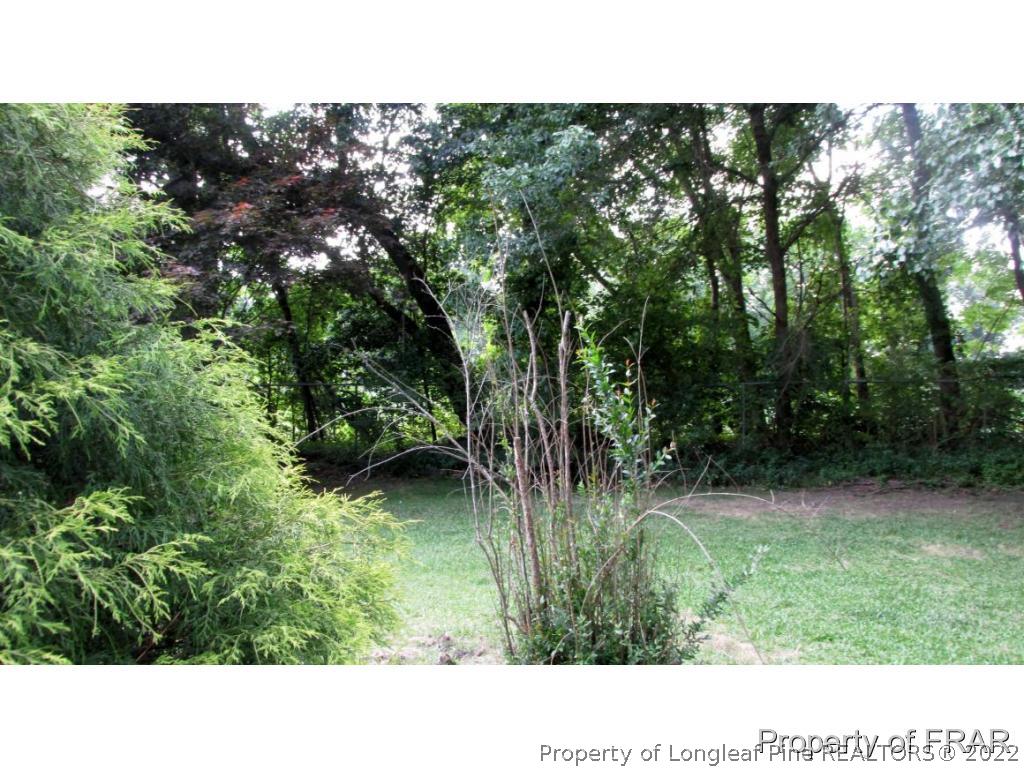 3165 Beard Road Eastover, NC 28312 - Photo 32 of 33 Gallery Image 32