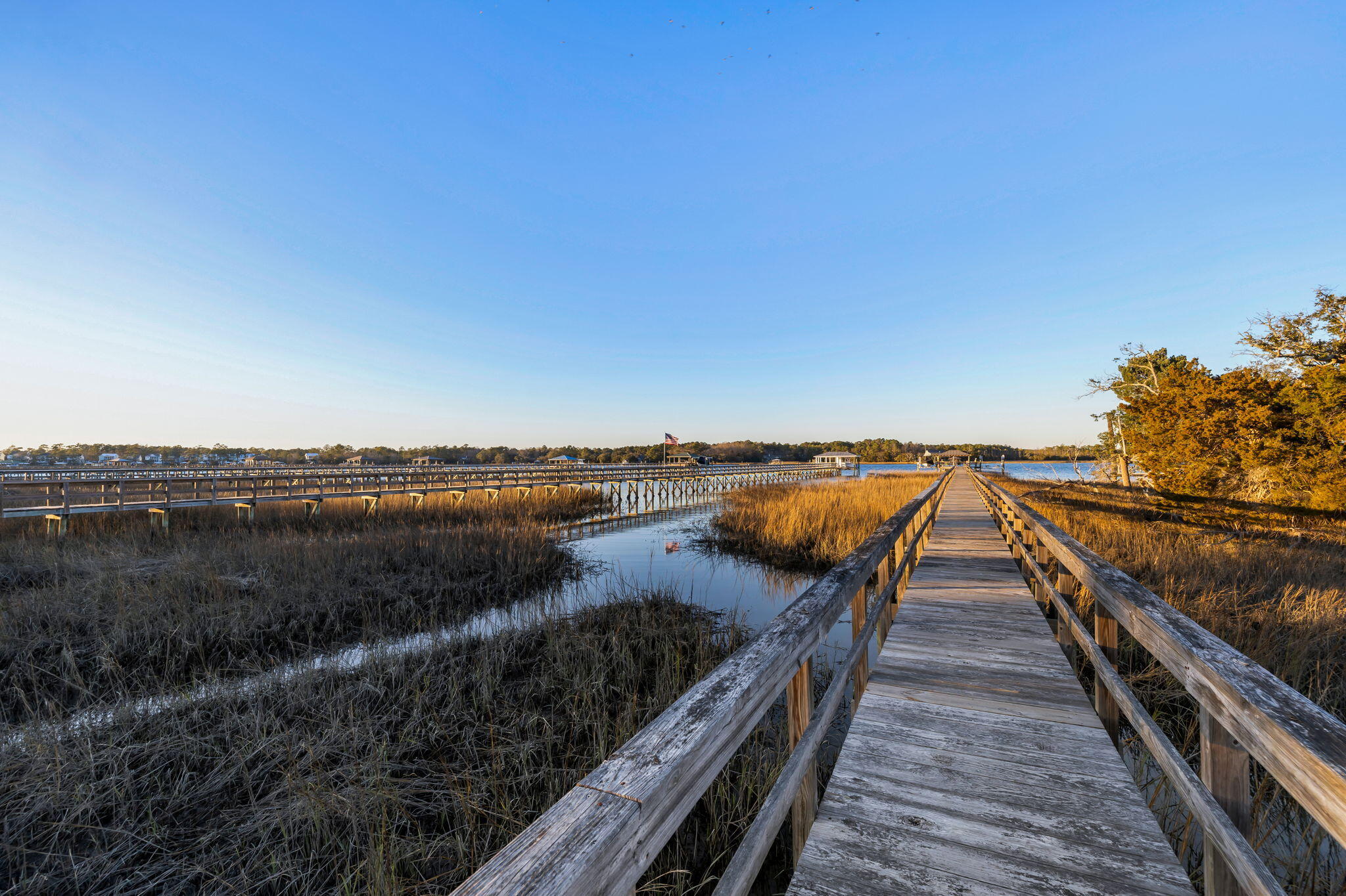2749 Fountainhead Way Mount Pleasant, SC 29466 - Photo 11 of 52 41-web-or-mls-2749 Fountainhead Way Coas