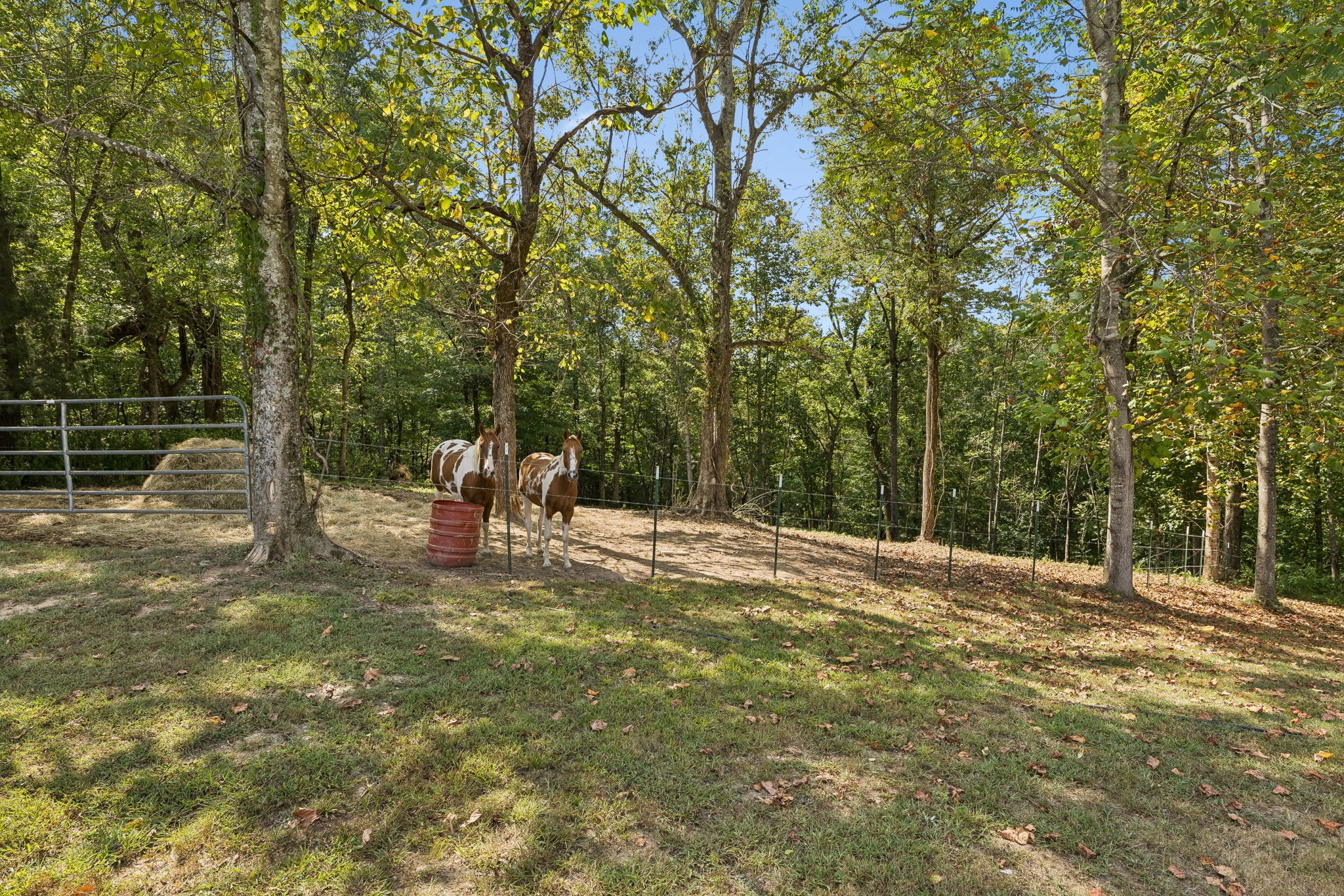 837 Womble Ridge Road Ethridge, TN 38456 - Photo 39 of 66 Gallery Image 39