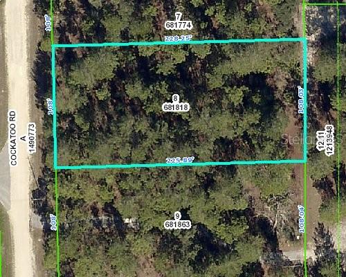 8358 Cockatoo Road Weeki Wachee, FL 34613 - Photo 1 of 1 Gallery Image 1