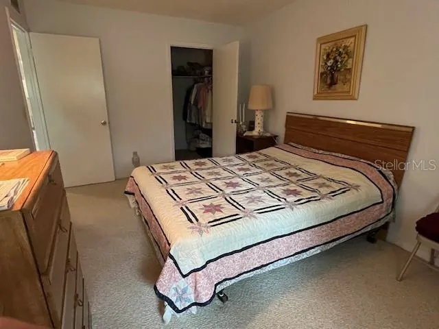 a view of a backyard with plants and a patio