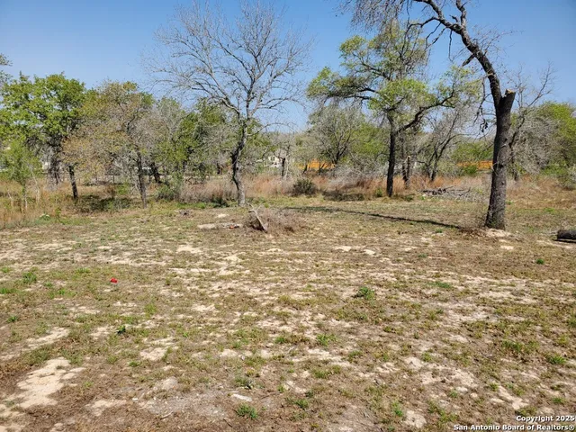 a view of a yard with a tree