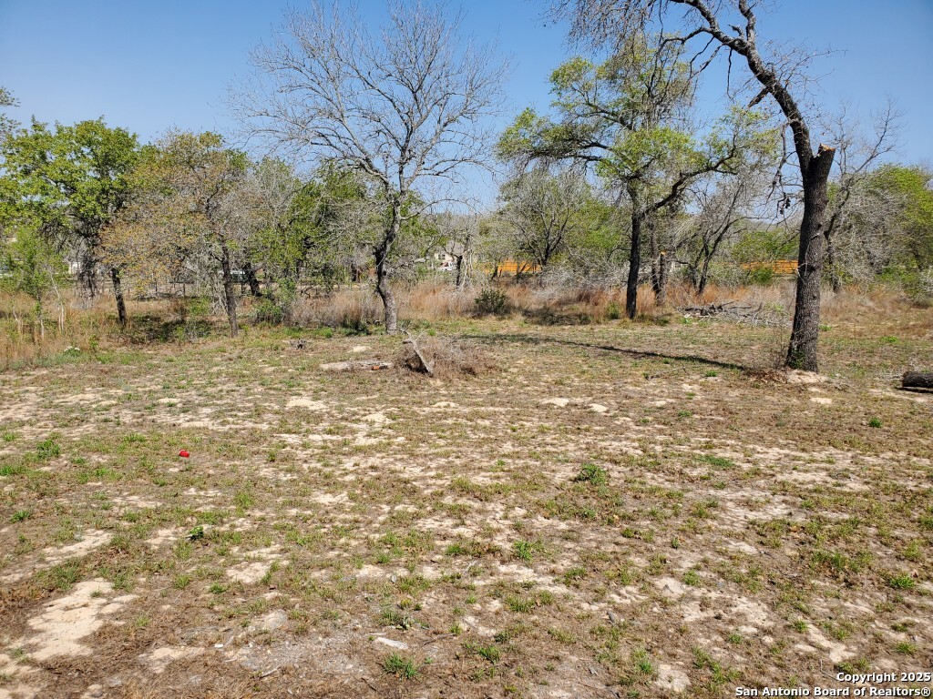 65 Nine Patch Drive Poteet, TX 78065 - Photo 13 of 14 a view of a yard with a tree
