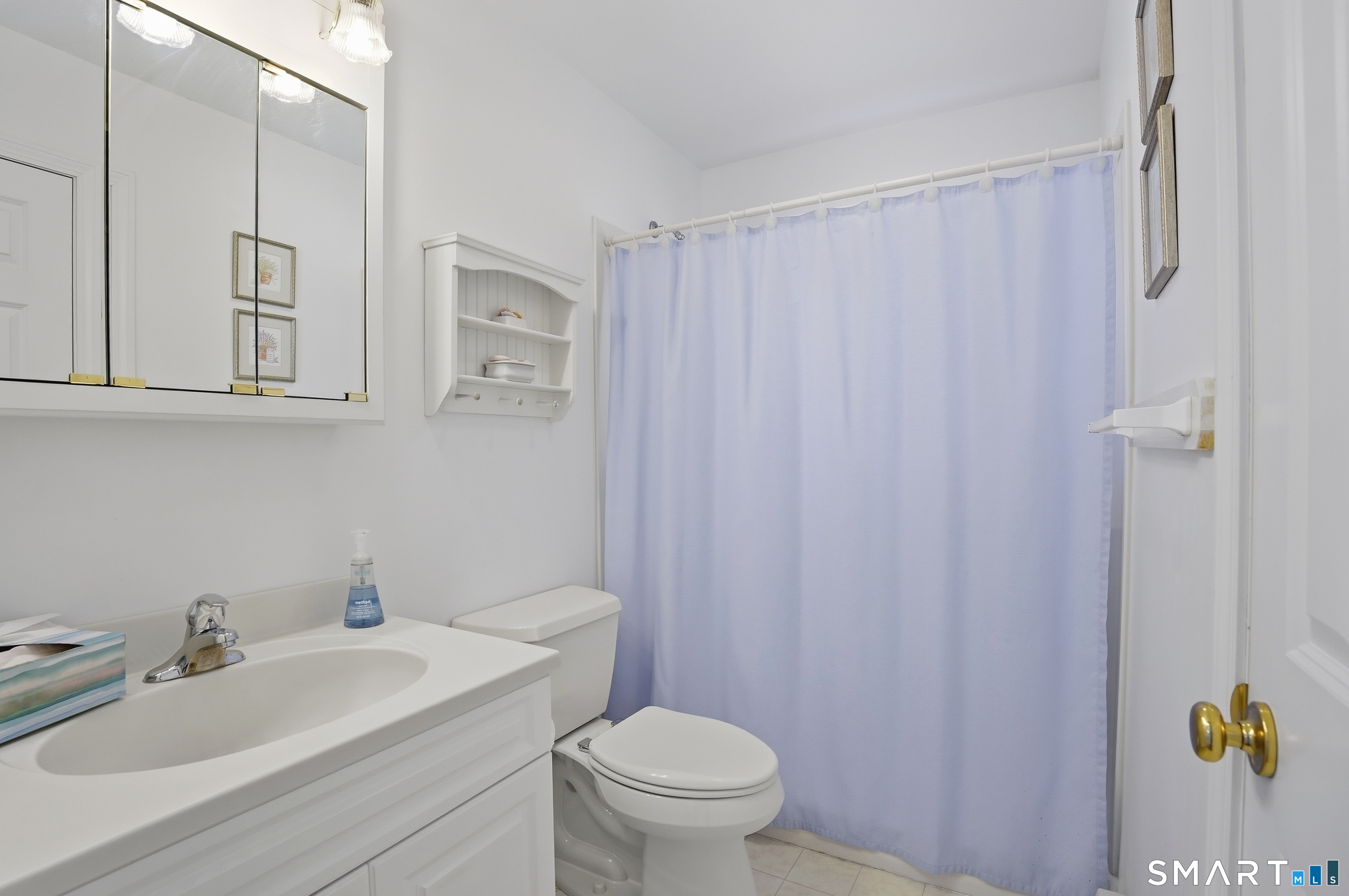 36 Longview Terrace Naugatuck, CT 06770 - Photo 15 of 29 a bathroom with a sink a toilet and shower curtain