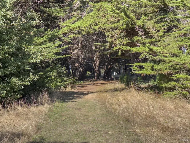 a view of a yard with a tree
