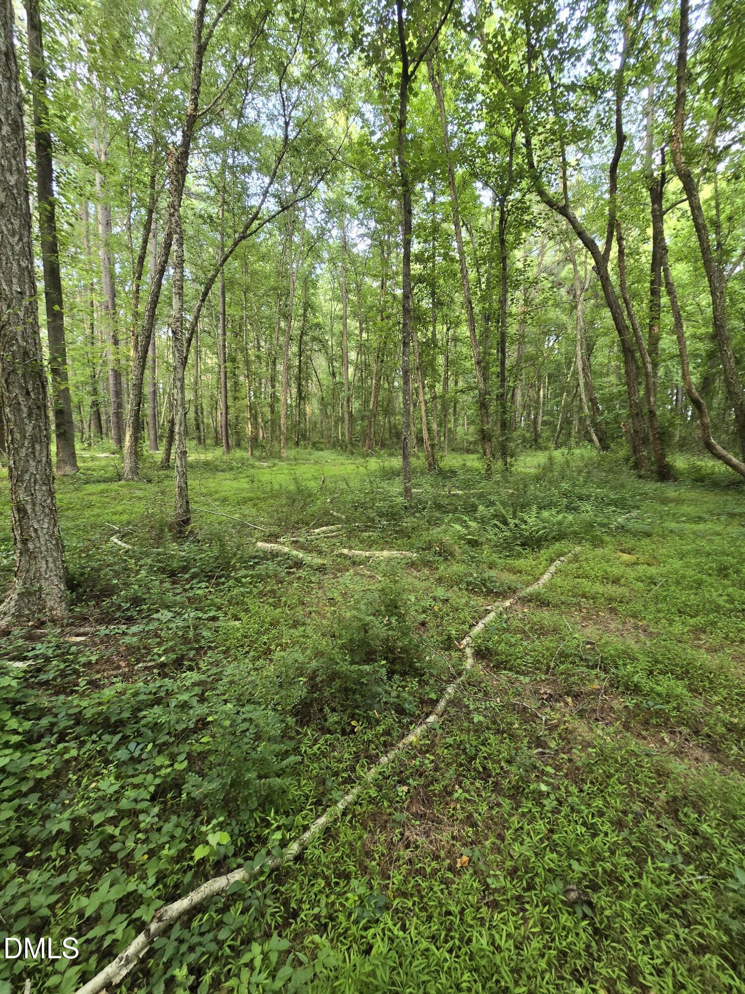 0 Honeycutt Road Willow Spring, NC 27592 - Photo 2 of 18 20260531_182050