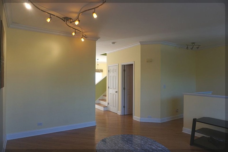 125 Rachel Road, Unit 505A Willow Springs, IL 60480 - Photo 13 of 27