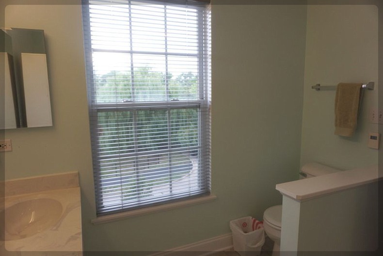 125 Rachel Road, Unit 505A Willow Springs, IL 60480 - Photo 17 of 27