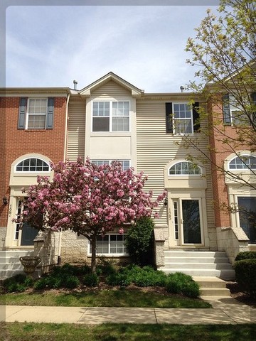 125 Rachel Road, Unit 505A Willow Springs, IL 60480 - Photo 2 of 27