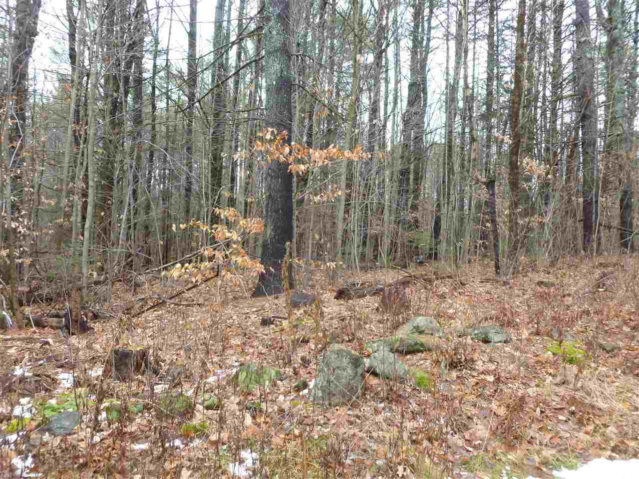 26 Peacham Road Center Barnstead, NH 03225 - Photo 1 of 10