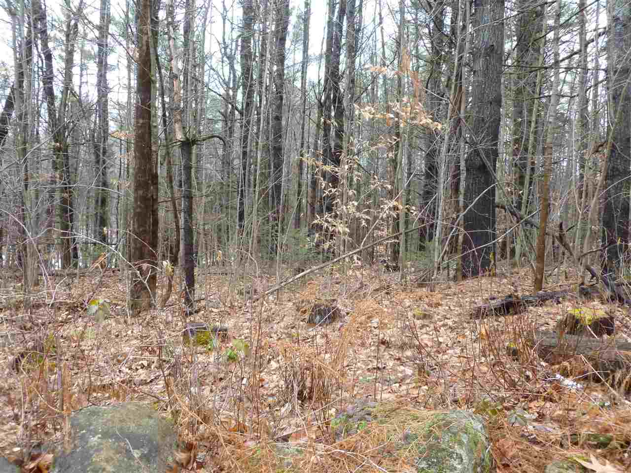 26 Peacham Road Center Barnstead, NH 03225 - Photo 2 of 10