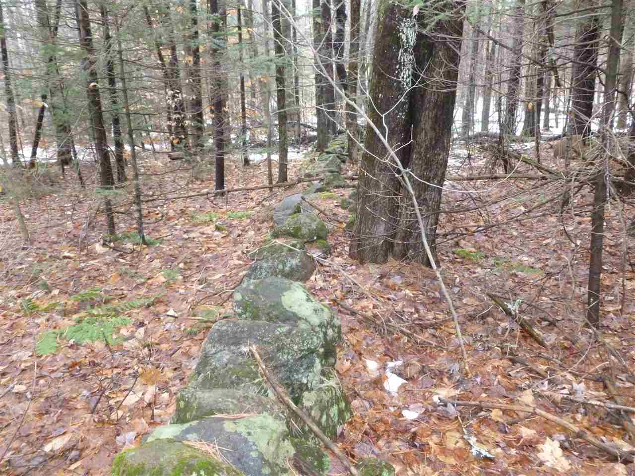 26 Peacham Road Center Barnstead, NH 03225 - Photo 6 of 10