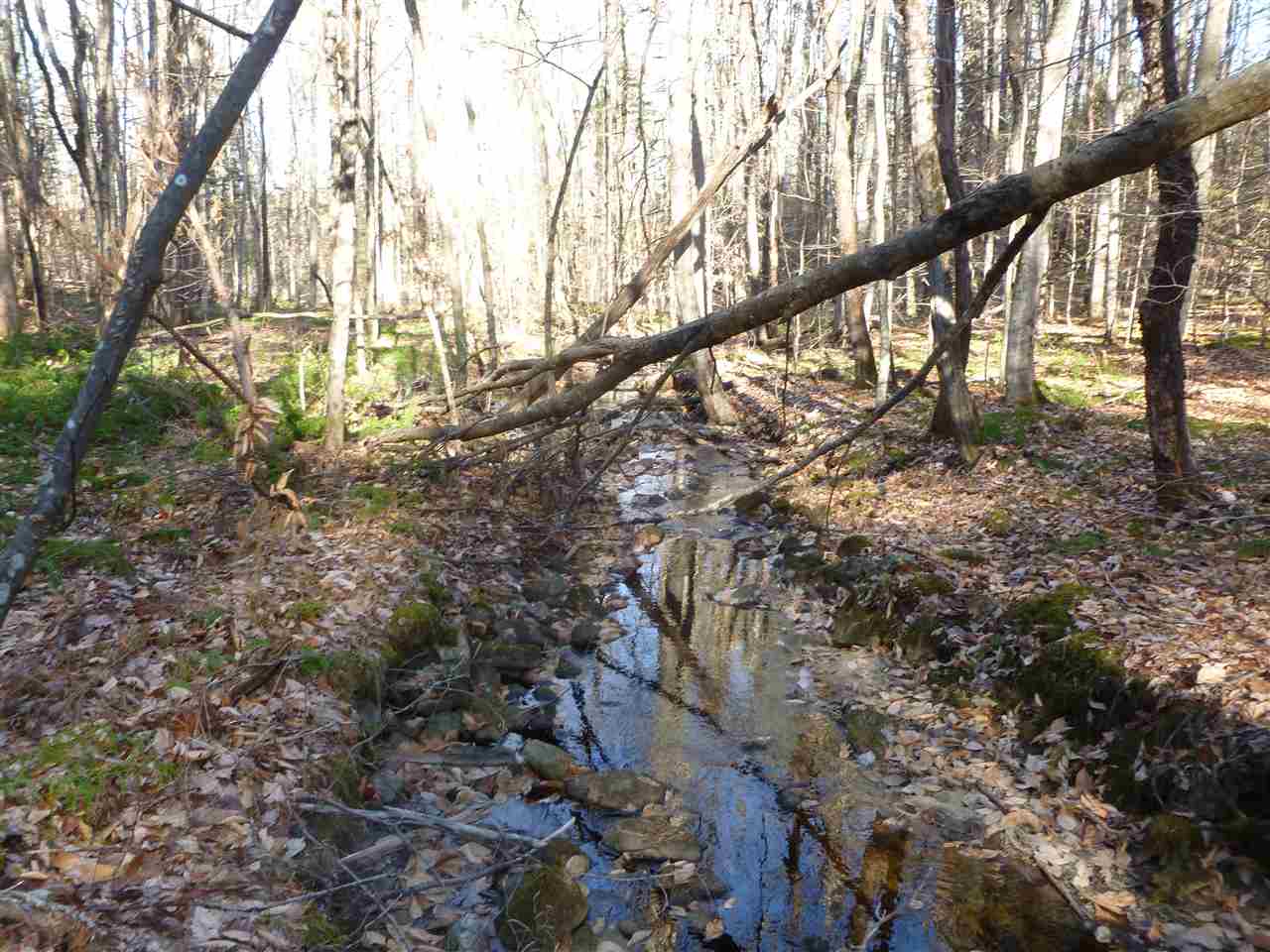 26 Peacham Road Center Barnstead, NH 03225 - Photo 9 of 10