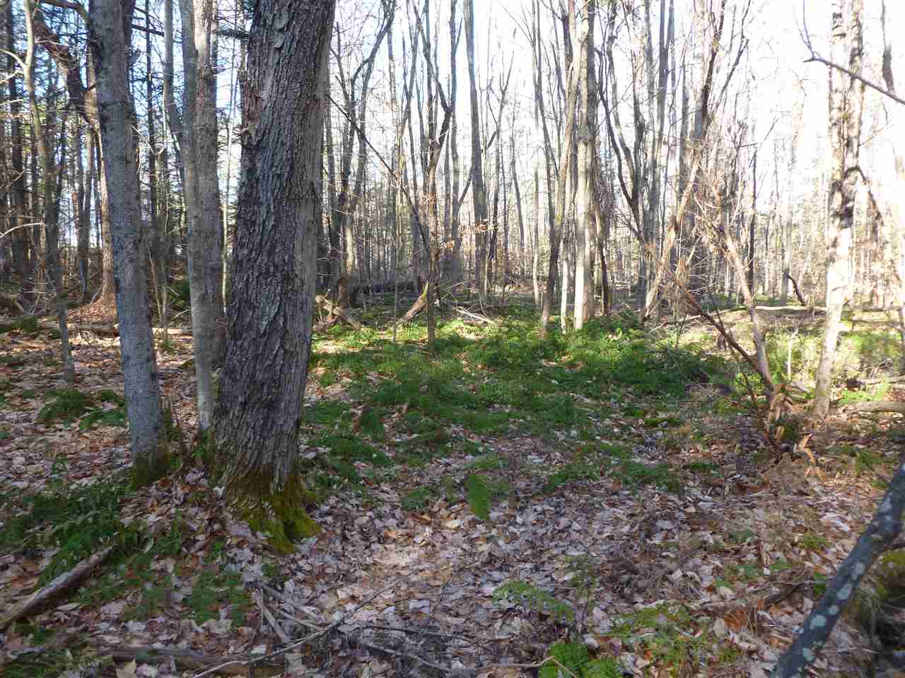 26 Peacham Road Center Barnstead, NH 03225 - Photo 10 of 10