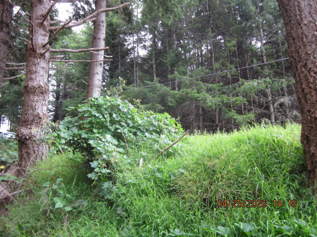 313 Ridge Road Shelter Cove, CA 95589 - Photo 13 of 20