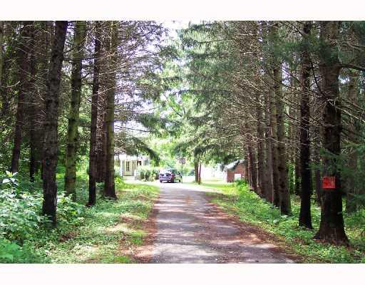 105 Chartiers Road Mather, PA 15346 - Photo 4 of 8 Other. Private tree lined driveway