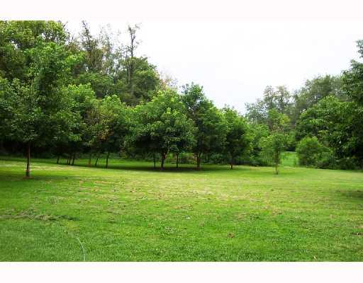 105 Chartiers Road Mather, PA 15346 - Photo 5 of 8 Land/Lot.