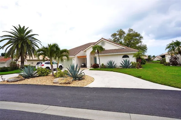 a view of a backyard with potted plants and a large tree