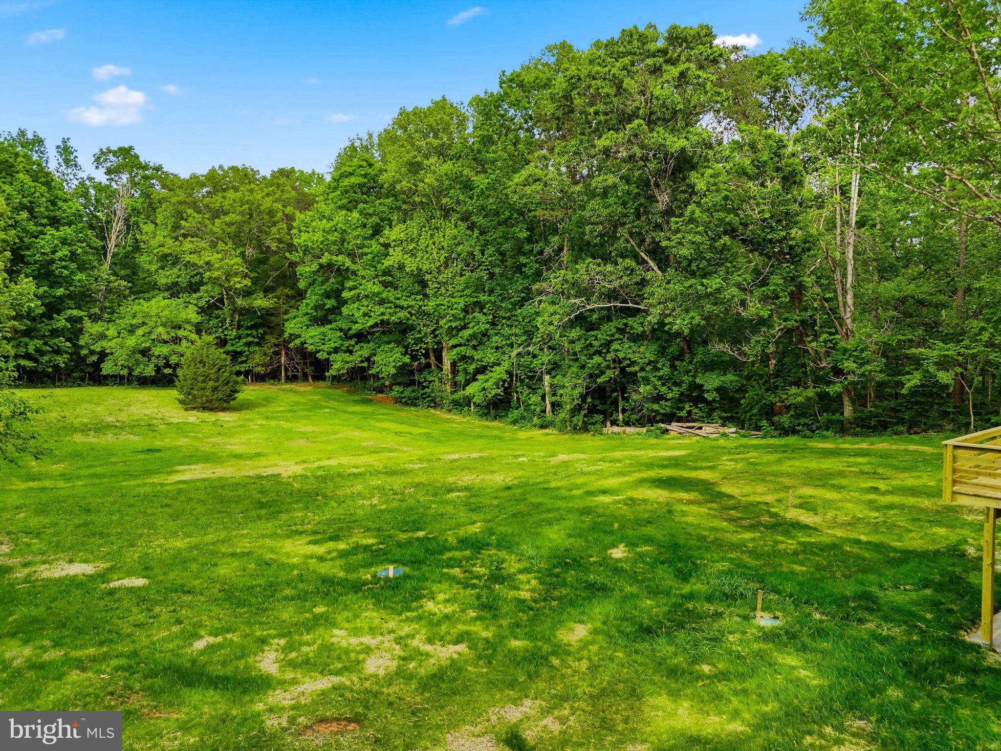 1548 James City Road Reva, VA 22735 - Photo 37 of 48 a view of a grassy field with trees