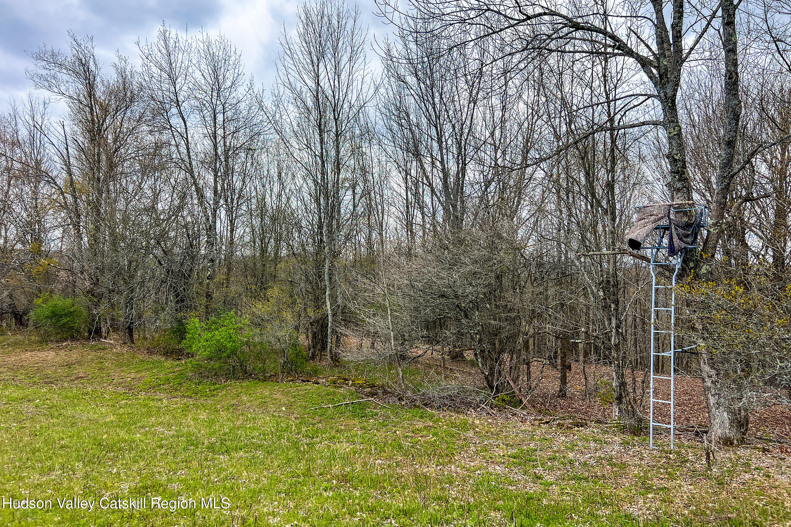 0 Brownell Road Bloomville, NY 13739 - Photo 27 of 39 23 acres Brownell Rd -- 025