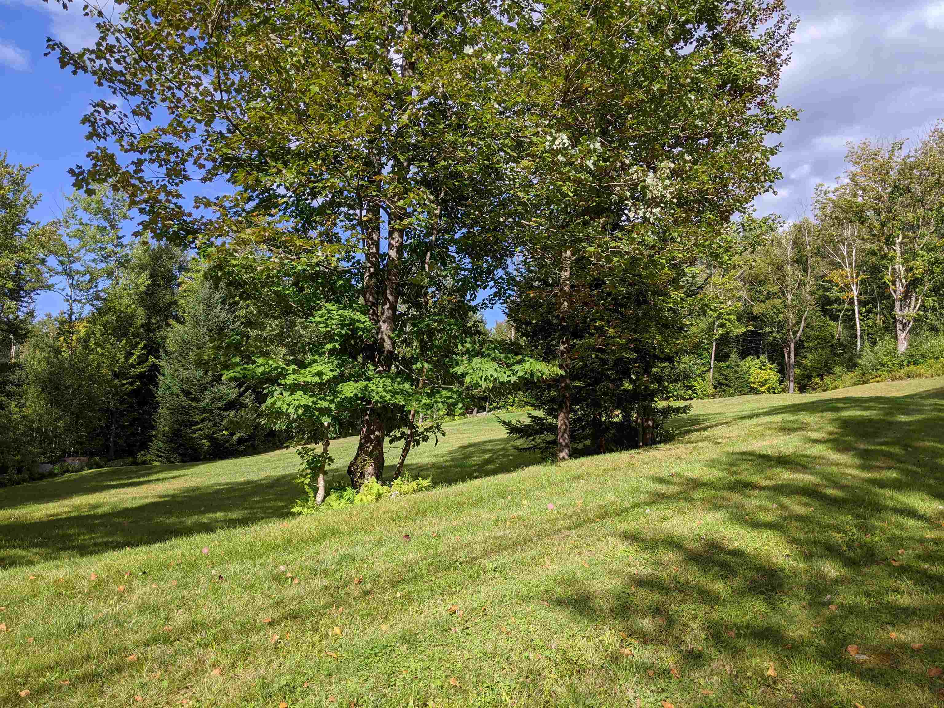 0 Crossett Hill Road Waterbury, VT 05676 - Photo 3 of 17 Gallery Image 3