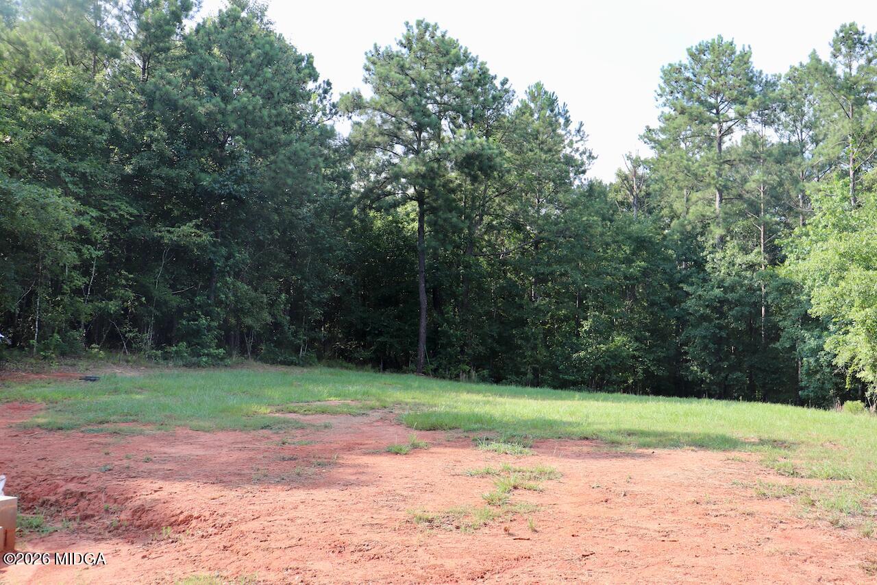 192 Chapman Road Macon, GA 31211 - Photo 17 of 17 17-back 1 (1)