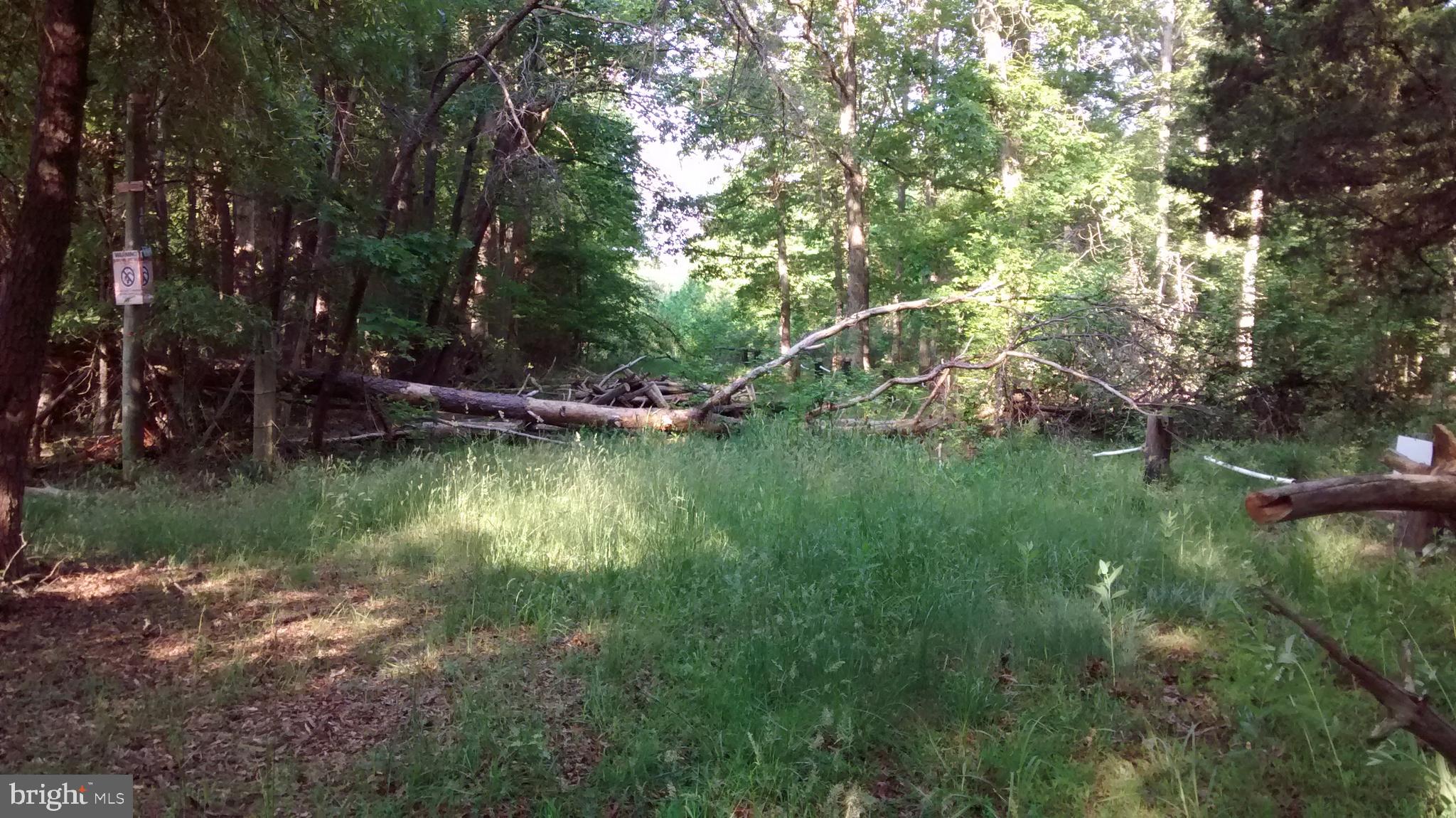 13539 Brandywine Road Brandywine, MD 20613 - Photo 2 of 9 Gallery Image 2