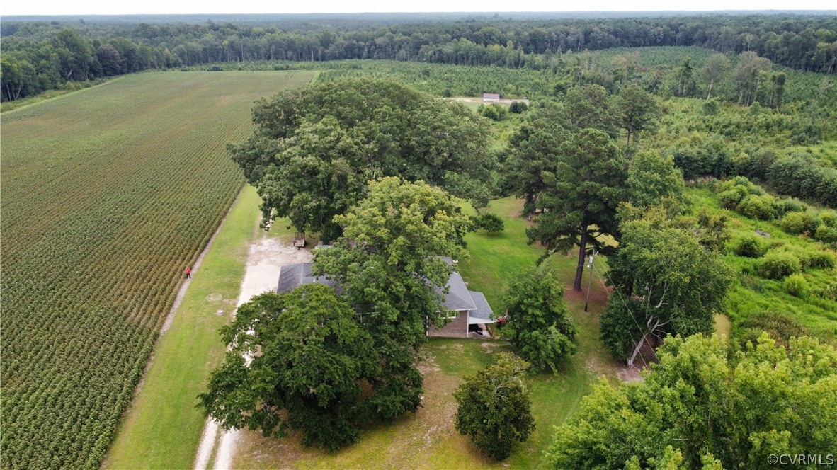 17449 Jerusalem Plank Road Courtland, VA 23837 - Photo 2 of 15
