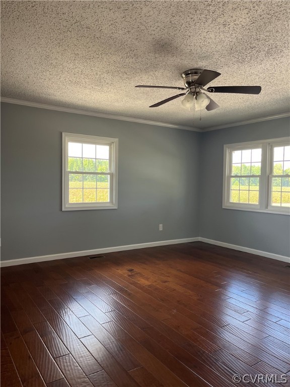 17449 Jerusalem Plank Road Courtland, VA 23837 - Photo 6 of 15