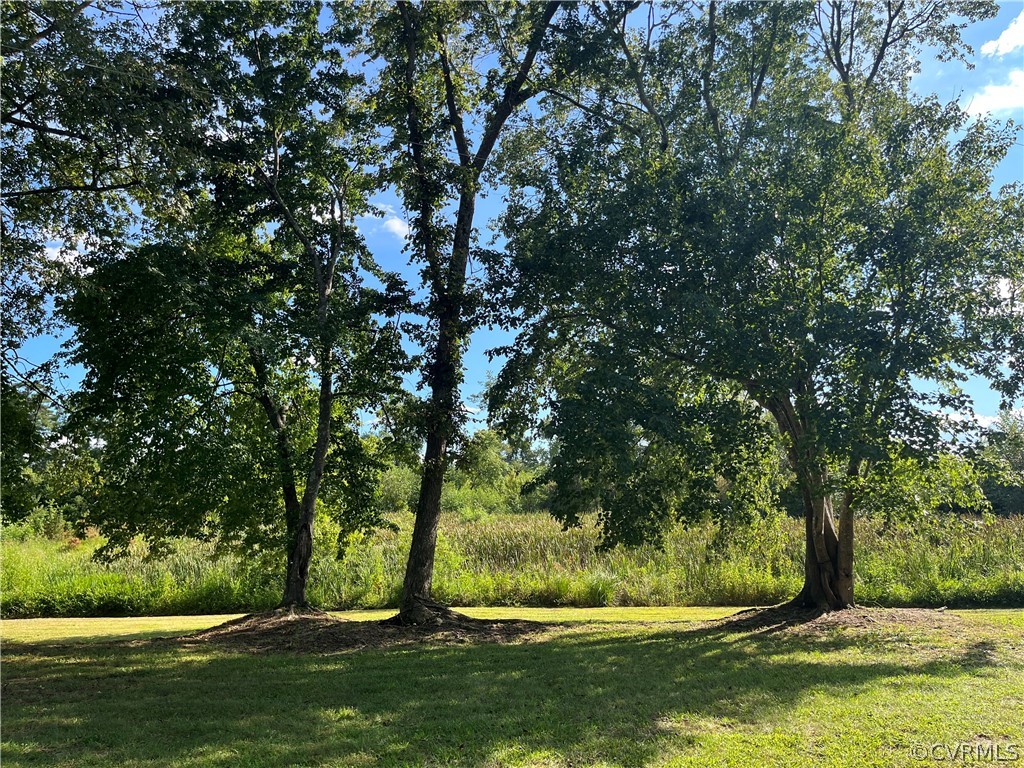 17449 Jerusalem Plank Road Courtland, VA 23837 - Photo 8 of 15