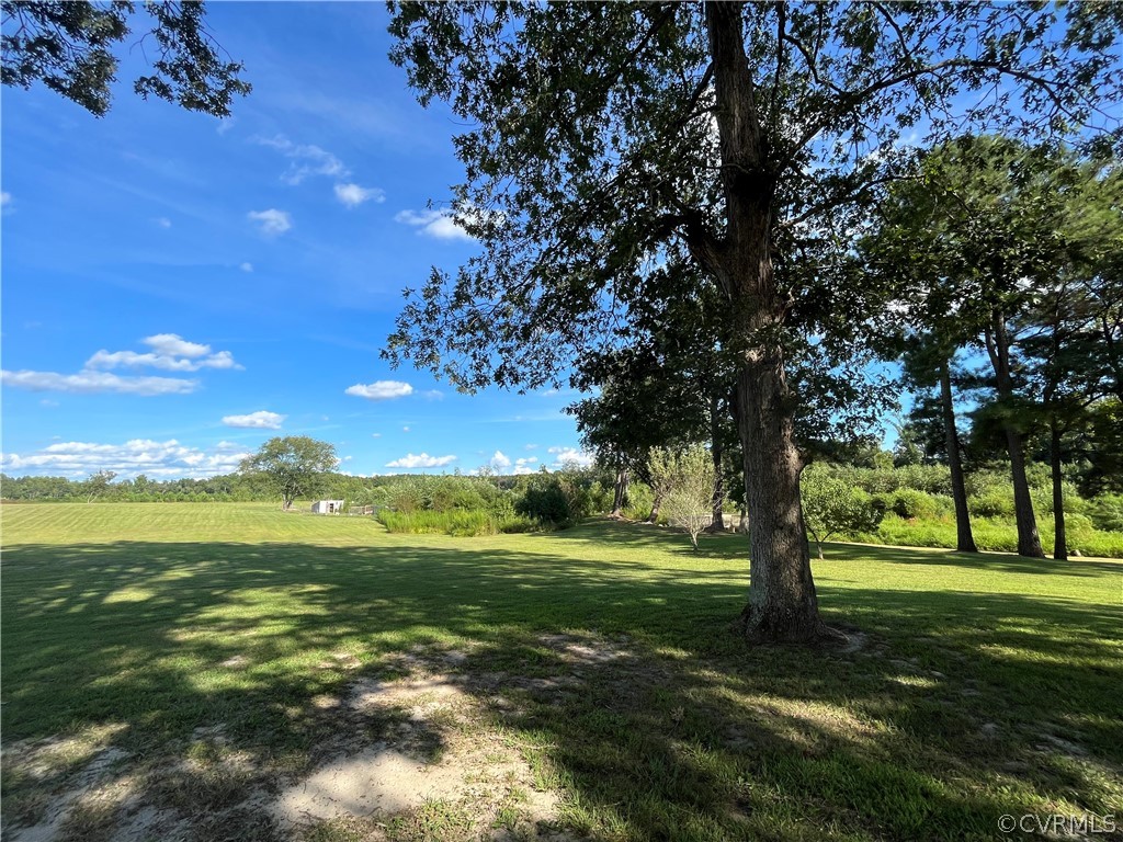 17449 Jerusalem Plank Road Courtland, VA 23837 - Photo 9 of 15