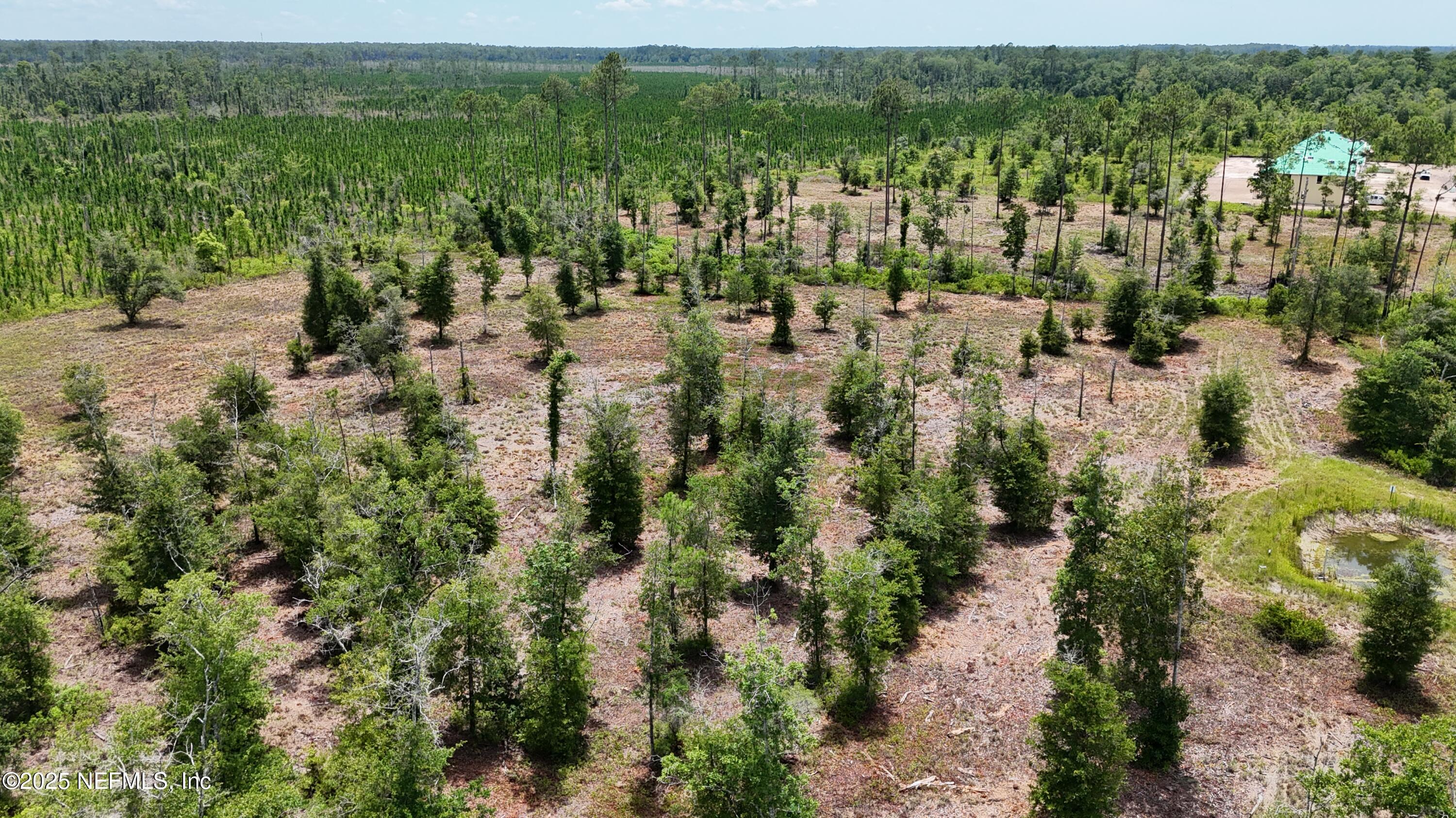 8623 Ford Road Bryceville, FL 32009 - Photo 8 of 10 a view of a bunch of trees and houses