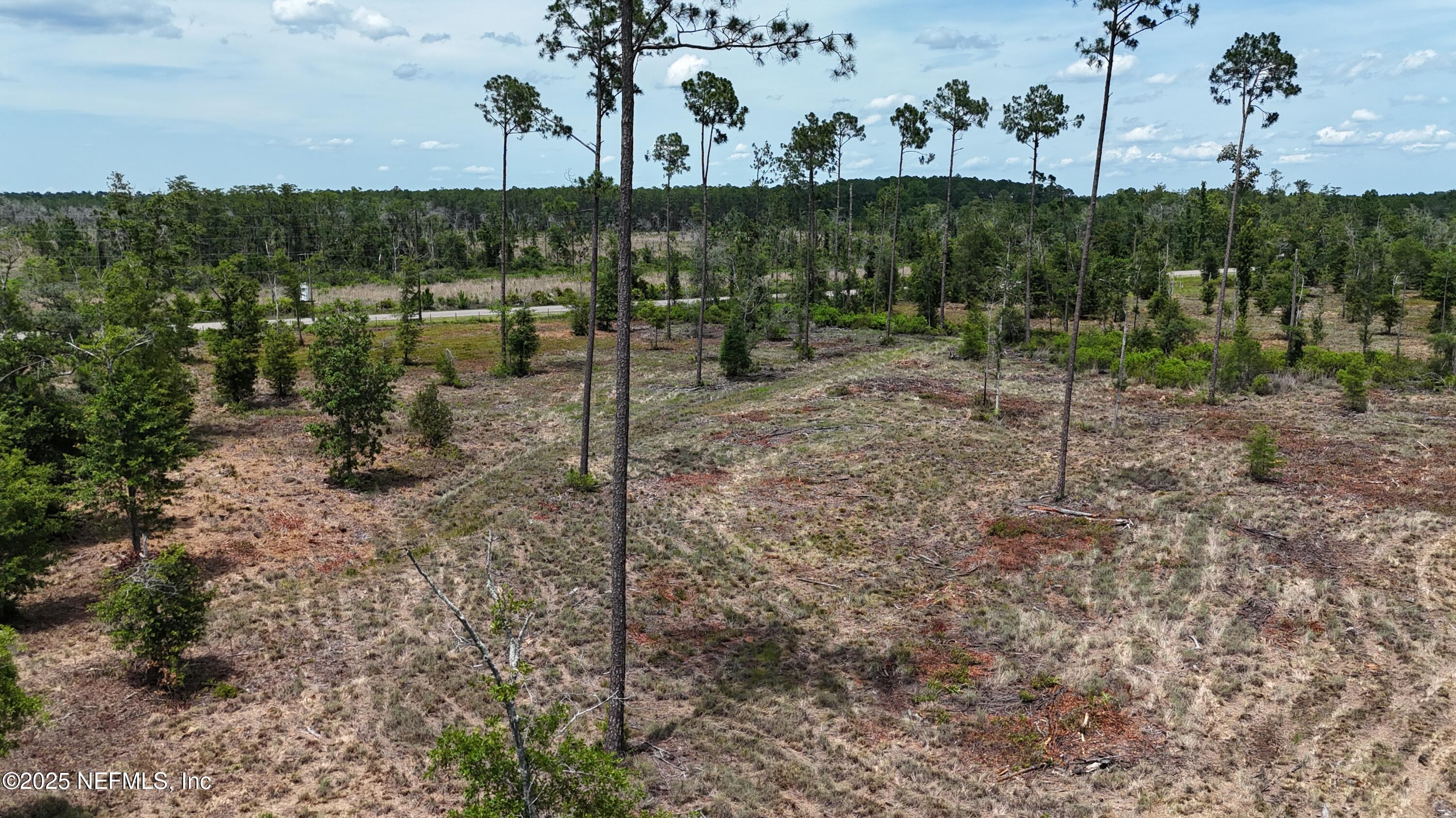 8623 Ford Road Bryceville, FL 32009 - Photo 10 of 10 a view of a backyard