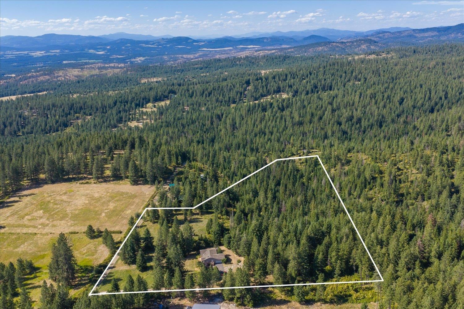 15519 East Tallman Road Chattaroy, WA 99003 - Photo 43 of 49