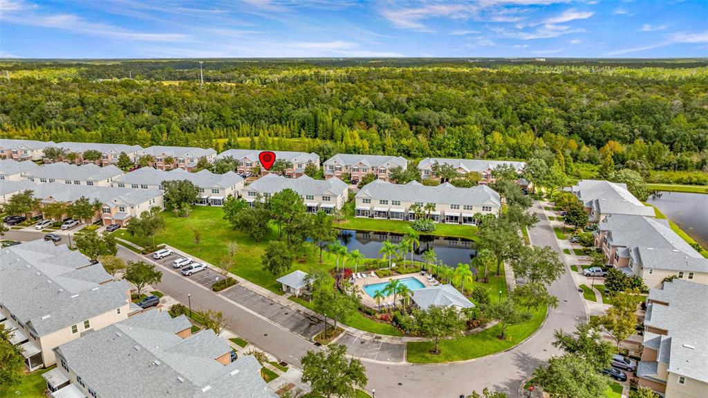 26628 Castleview Way Wesley Chapel, FL 33544 - Photo 31 of 39