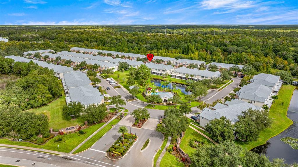 26628 Castleview Way Wesley Chapel, FL 33544 - Photo 35 of 39