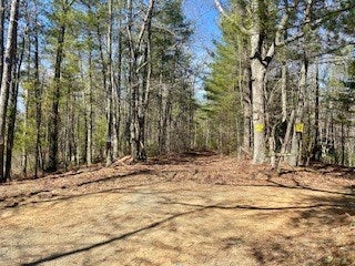 Tbd Lincoln Road, Unit 3 Galax, VA 24333 - Photo 59 of 64 Gallery Image 59