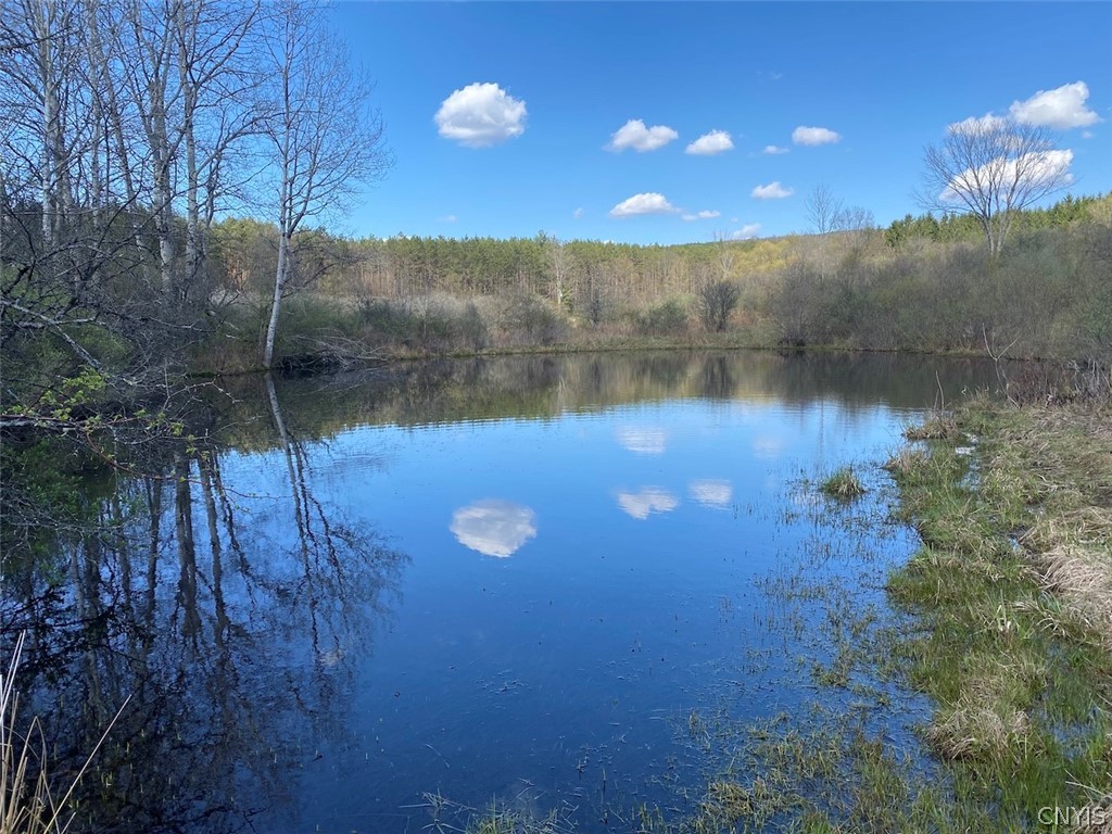 Reddy Road Belmont, NY 14813 - Photo 11 of 15