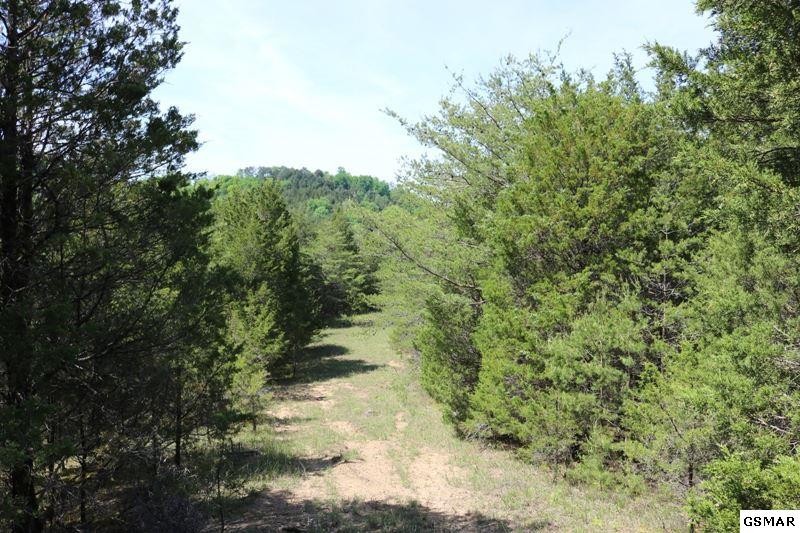 0 Lot 35 Buck Horn Road Sevierville, TN 37876 - Photo 5 of 30