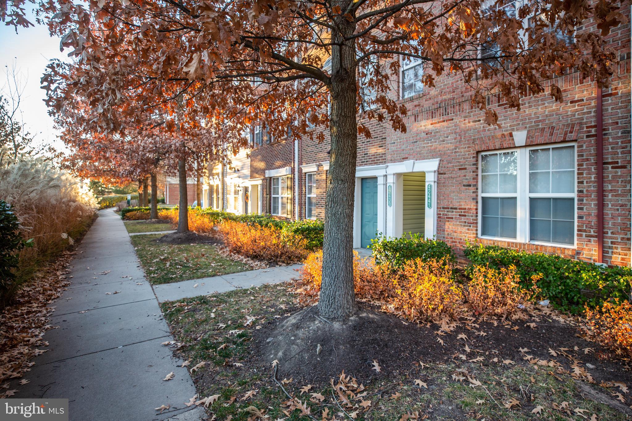 42439 Rockrose Square Ashburn, VA 20148 - Photo 26 of 28
