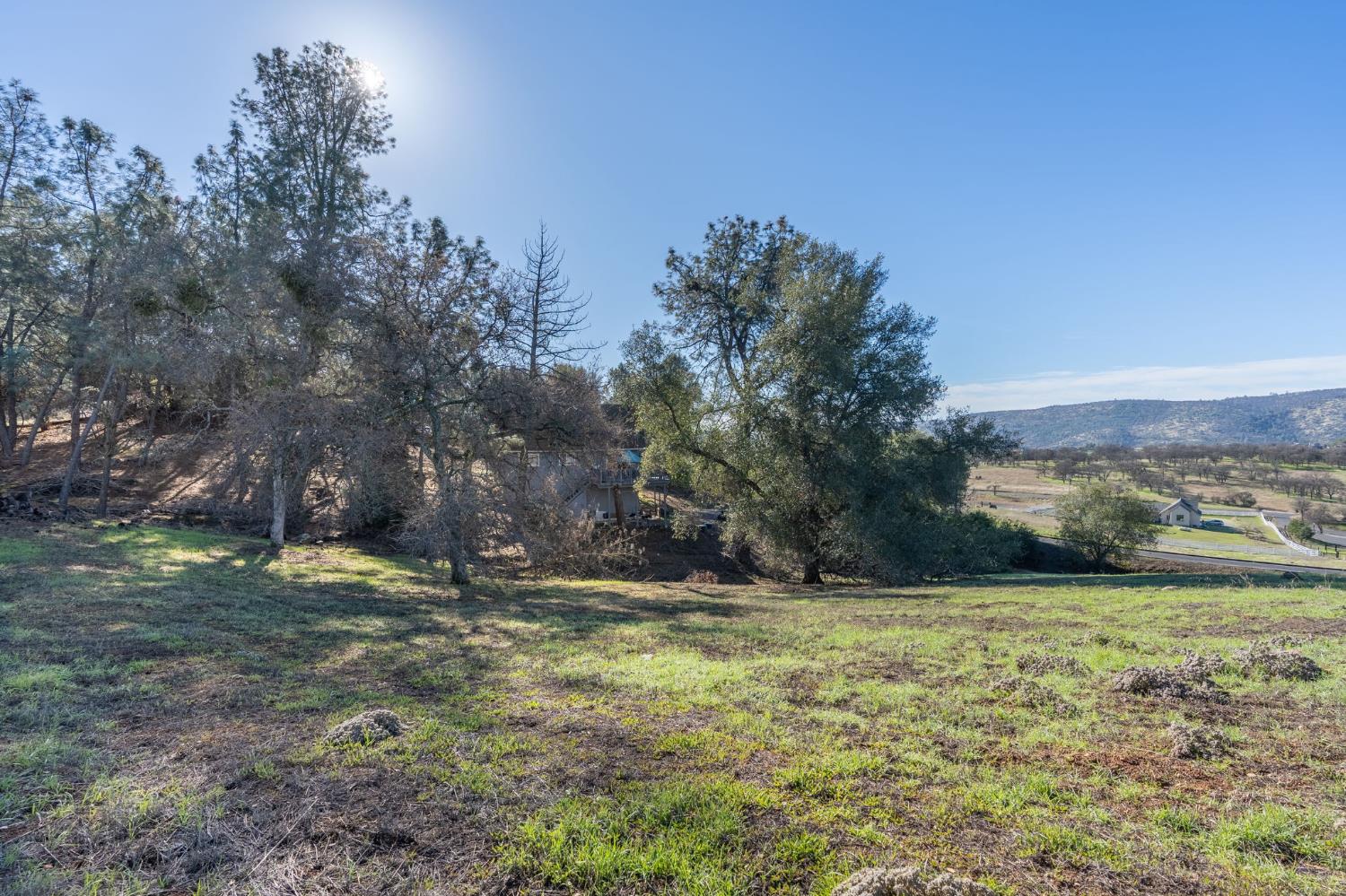 2423 Quail Hill Road Copperopolis, CA 95228 - Photo 13 of 17 a view of outdoor space with trees all around