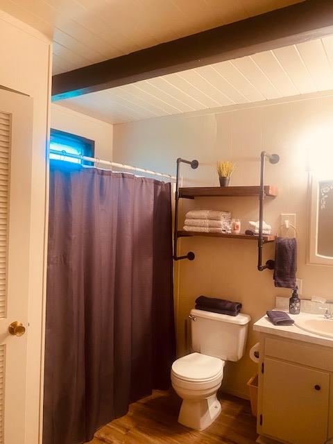 2423 Quail Hill Road Copperopolis, CA 95228 - Photo 8 of 17 a bathroom with a sink a toilet and shower curtain