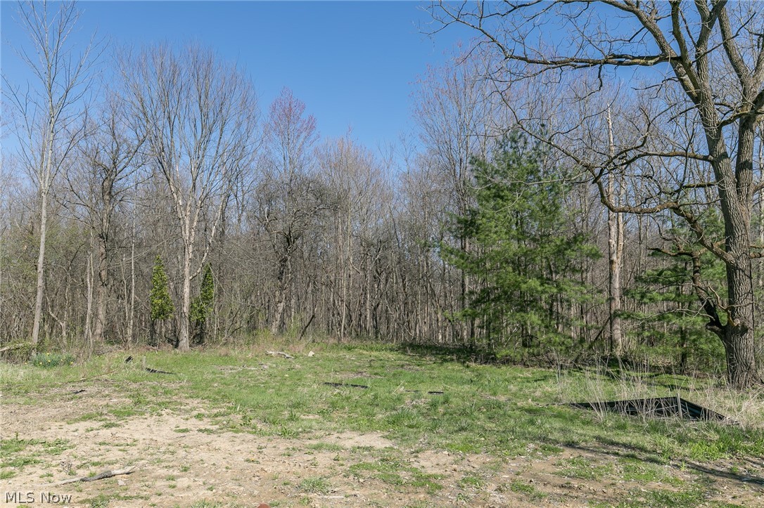 3939 Ellendale Road Moreland Hills, OH 44022 - Photo 35 of 35