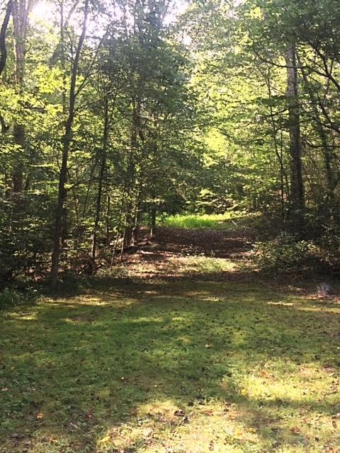 352 Longwith Road Ringgold, GA 30736 - Photo 1 of 7 3