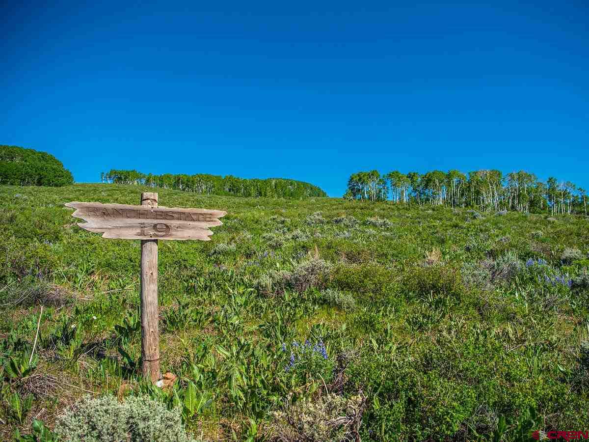 1383 Lariat Road Almont, CO 81210 - Photo 18 of 35 a view of a garden with a tree