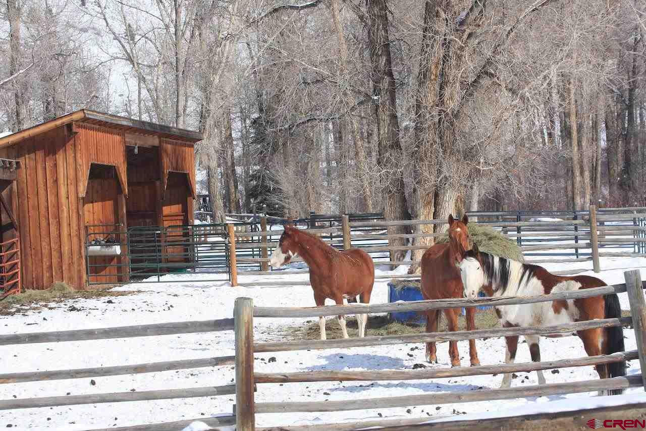 1383 Lariat Road Almont, CO 81210 - Photo 21 of 35 a view of a fountain