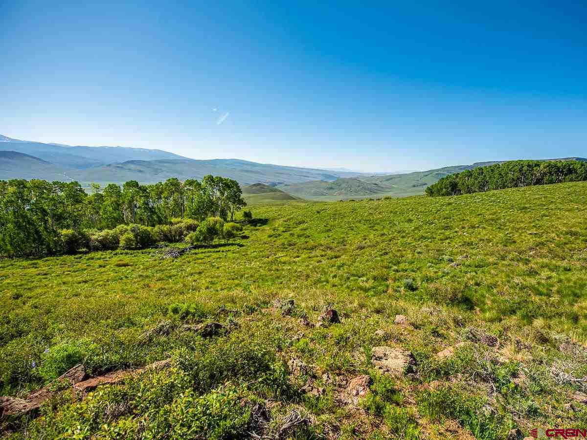 1383 Lariat Road Almont, CO 81210 - Photo 26 of 35 a view of an outdoor space and a yard