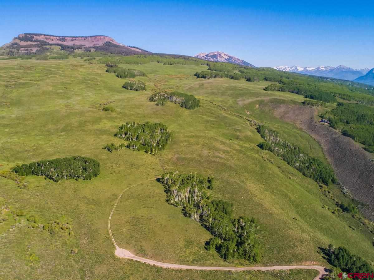 1383 Lariat Road Almont, CO 81210 - Photo 30 of 35 a view of a swimming pool with a yard